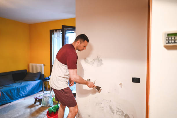 Mold Removal and Inspection in Maize, KS