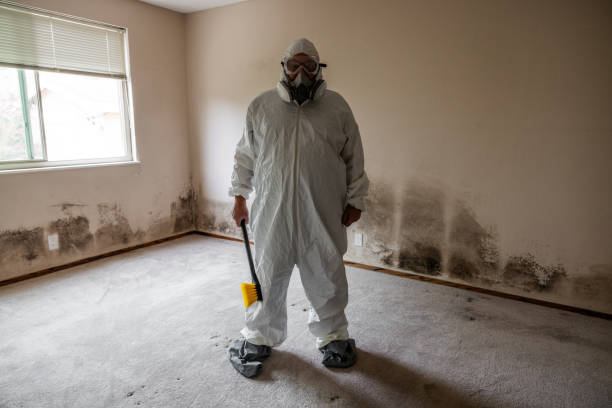 Best Mold Testing  in Maize, KS